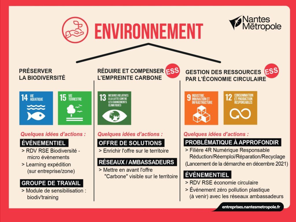Pilier Environnement