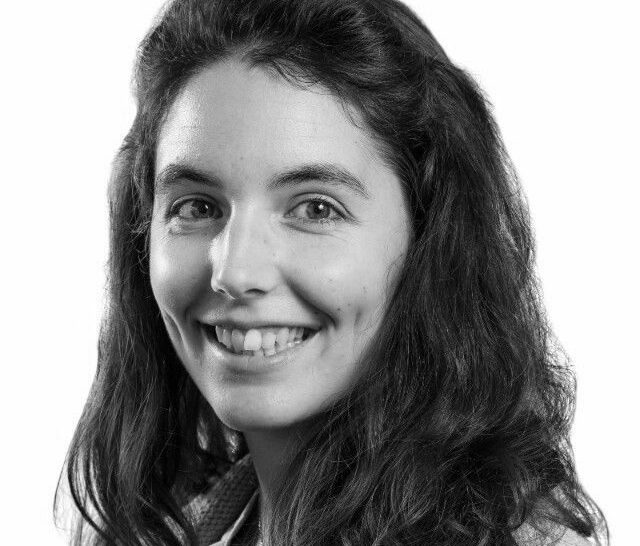 Clementine delphin