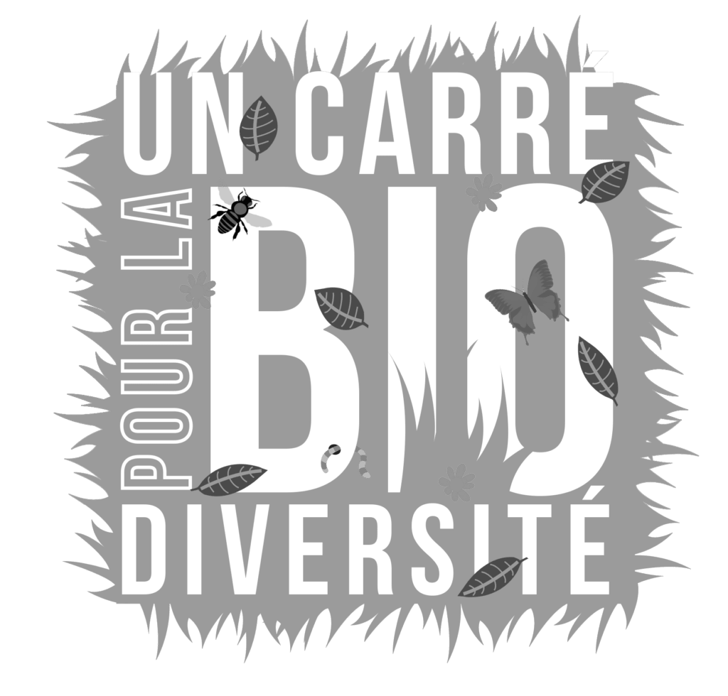Uncarrediversite