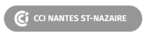 Logo cci nantes st nazaire - Nantes métropole entreprises