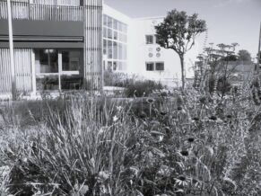 Esatco thouaré débitumer et renaturer pour favoriser la biodiversité