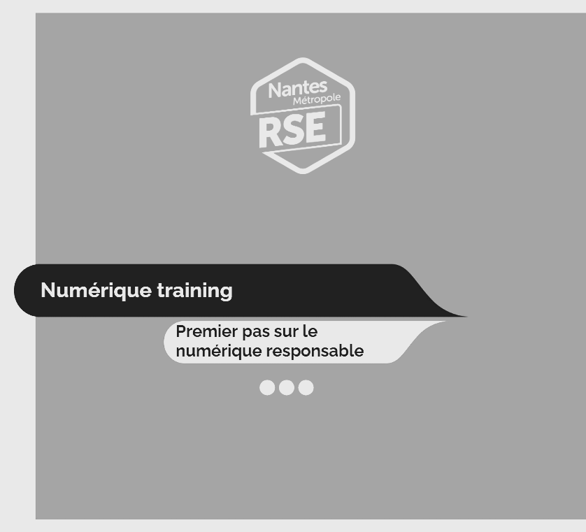 Logo de Numerique training