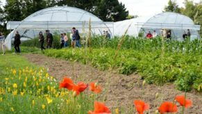 Ferme-scop