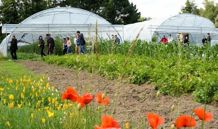 Ferme-scop