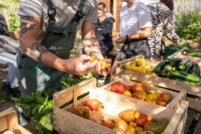 Appel à coopérations pour une alimentation accessible et durable CCAS Ville de Nantes 2024