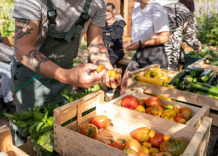 Appel à coopérations pour une alimentation accessible et durable CCAS Ville de Nantes 2024
