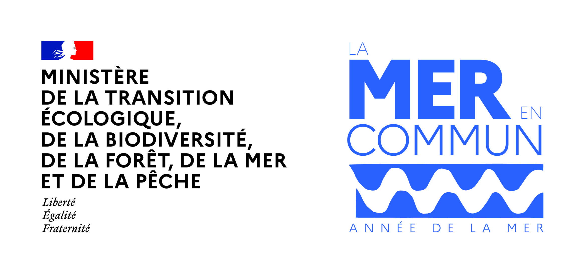 Marqueur lmec