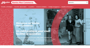 La page d'accueil du site Nantes Mon Commerce